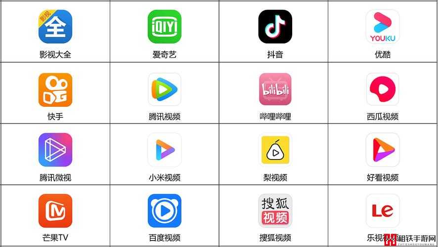 成品短视频 APP 软件大全：涵盖各类短视频 APP 详细介绍及功能对比